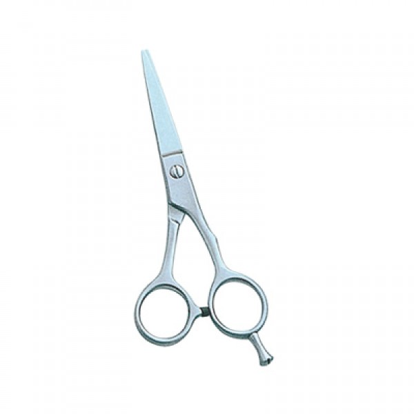 Barber and Dressing Scissors
